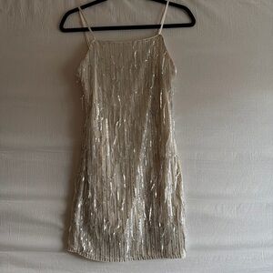Francesca's Collections Shimmering Silver Mini Dress